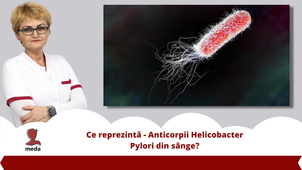 North America Offense Beyond Ce reprezinta 👉 Anticorpii Helicobacter Pylori din sange?