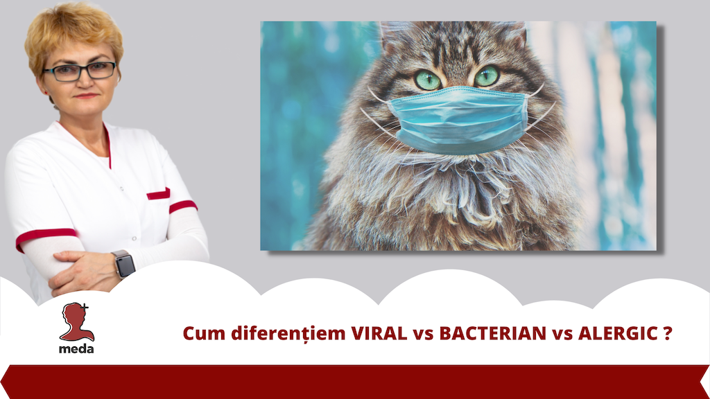 Care e diferenta intre simptomele virale, bacteriene și alergice?