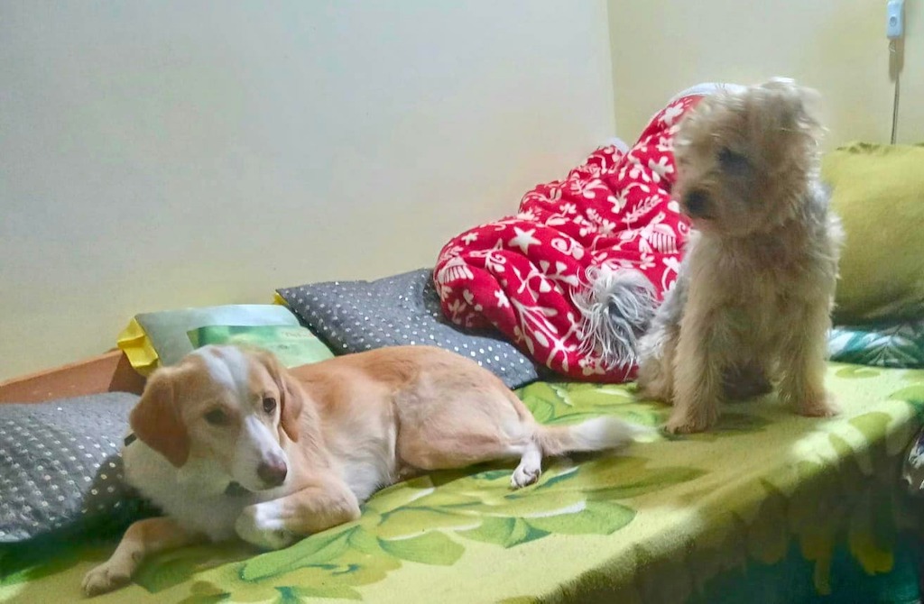 Povestiri medicale - Povestiri ne-medicale 👉 Atunci cand normalitatea devine un miracol