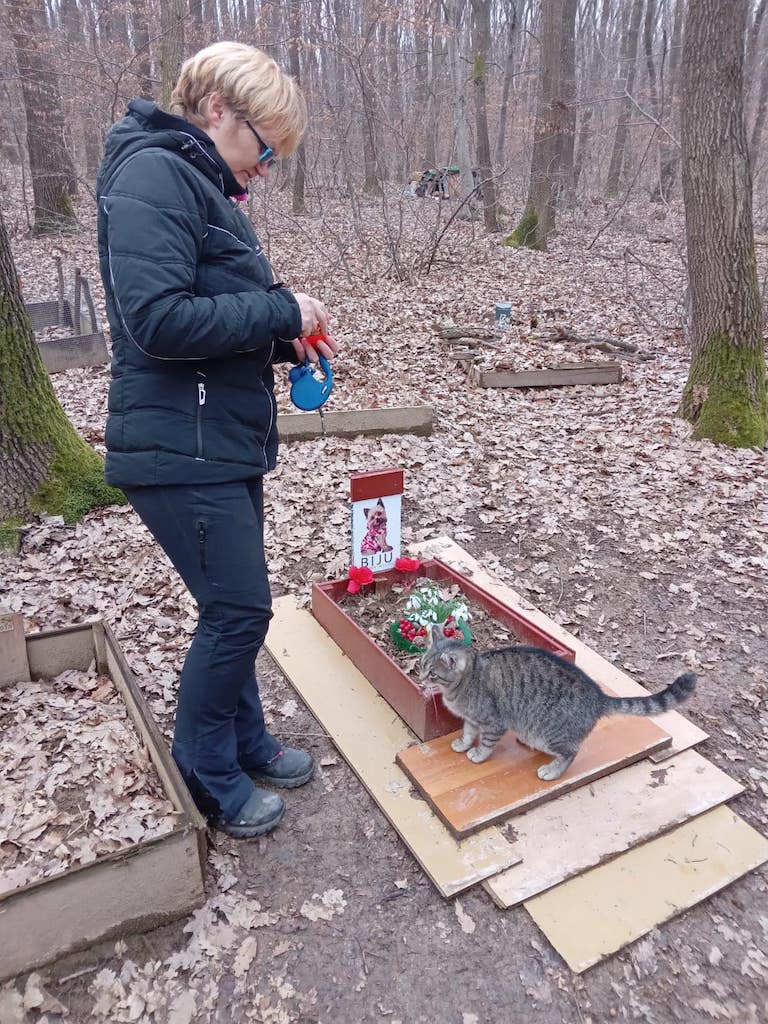 Povestiri medicale - Povestiri ne-medicale 👉 Atunci cand normalitatea devine un miracol