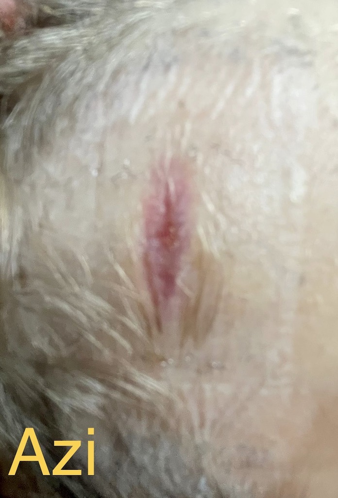 Cum vindeci o tăietură la frunte la un copil de 3 ani? - Poza articol